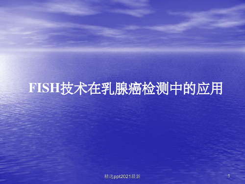 FISH技术在乳腺癌检测中的应用PPT课件