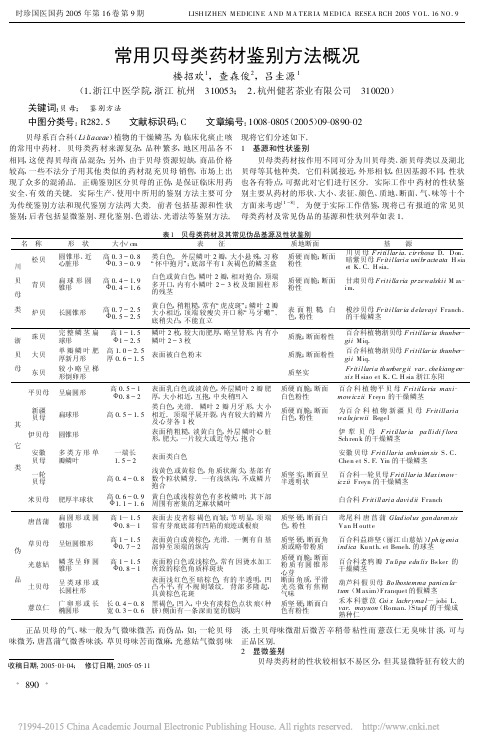 常用贝母类药材鉴别方法概况_楼招欢