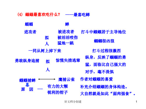 (最新修订)新课标初中语文教学课件:23 ﹡绿色蝈蝈(人教版七年级上)_21-25