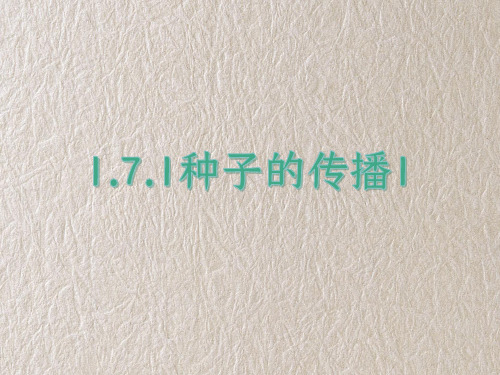 教科版四年级科学下册1-7-1种子的传播1 教学课件