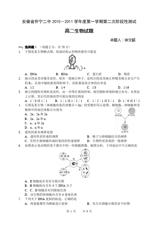 安徽省怀宁二中2010-2011学年度第一学期第二次阶段性测试高二生物试题