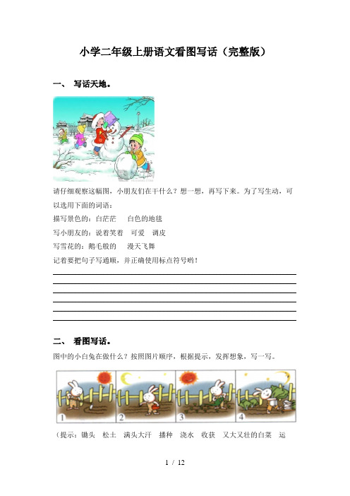 小学二年级上册语文看图写话(完整版)