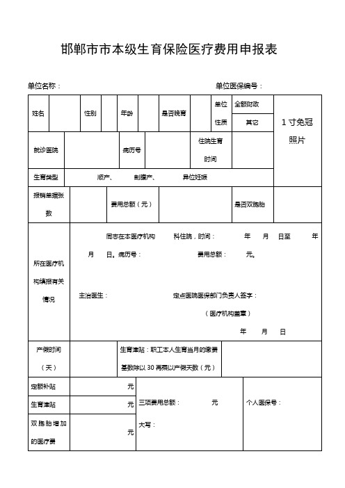 生育保险申报表