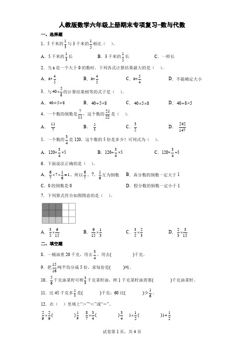 人教版数学六年级上册期末专项复习-数与代数(含解析)