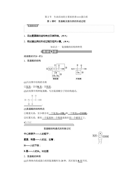 2020-2021学年人教版必修1 第2章 第2节 第1课时 氨基酸及蛋白质的形成过程 学案