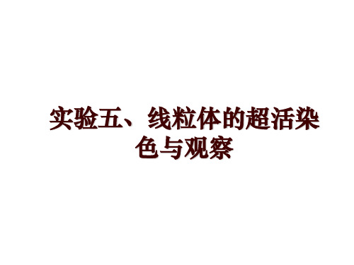 实验五、线粒体的超活染色与观察