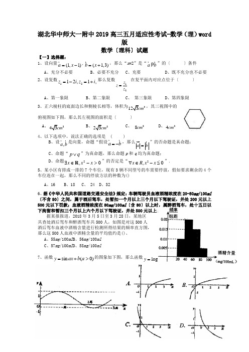 湖北华中师大一附中2019高三五月适应性考试-数学(理)word版