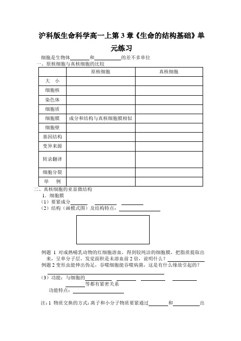 沪科版生命科学高一上第3章《生命的结构基础》单元练习