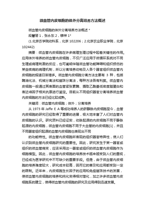 微血管内皮细胞的体外分离培养方法概述