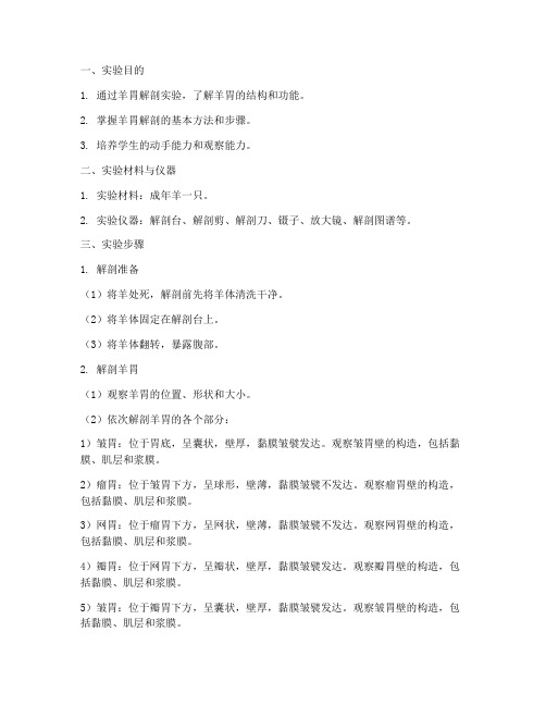 羊胃解剖实验报告