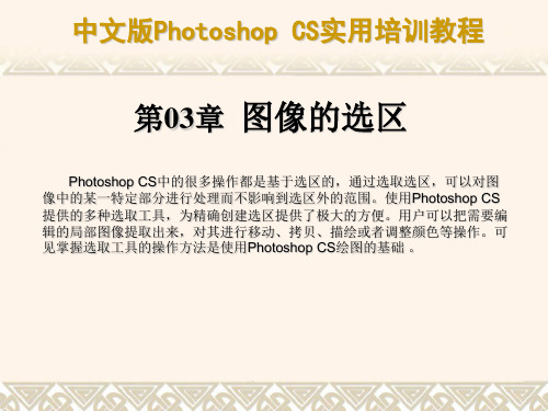 中文版PhotoshopCS实用培训教程第03章图像的选区PPT课件