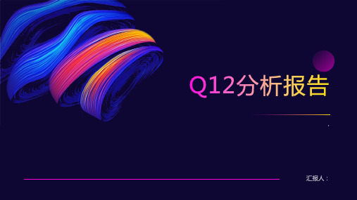 Q12分析报告