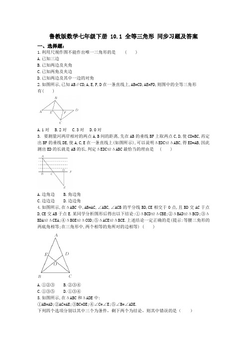 鲁教版数学七年级下册 10.1 全等三角形 同步习题及答案