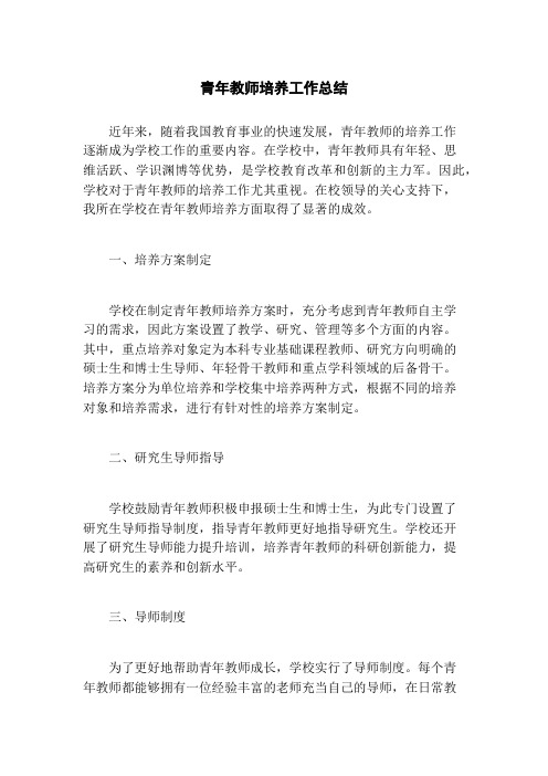 青年教师培养工作总结