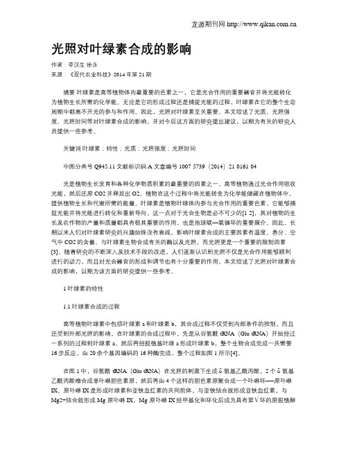 光照对叶绿素合成的影响