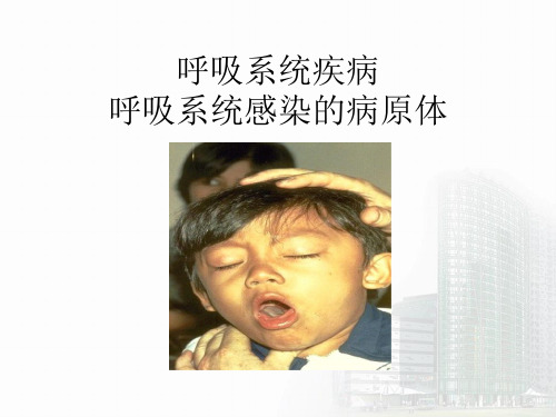 呼吸系统疾病之呼吸系统感染的病原体(细菌)