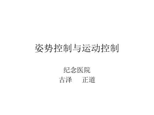 姿势控制与运动控制课件