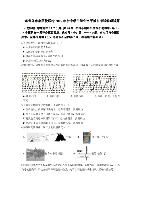 山东青岛市集团校联考2019年初中学生学业水平模拟考试物理试题