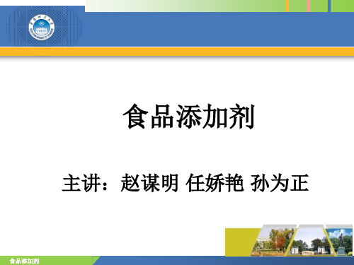 食品添加剂绪论孙为正2012