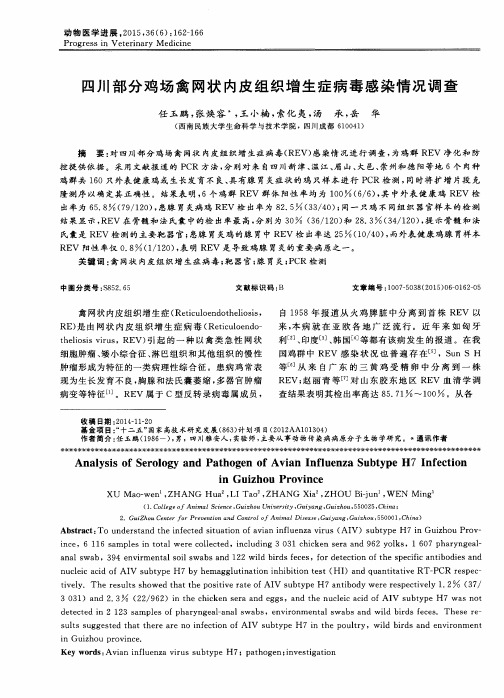 四川部分鸡场禽网状内皮组织增生症病毒感染情况调查