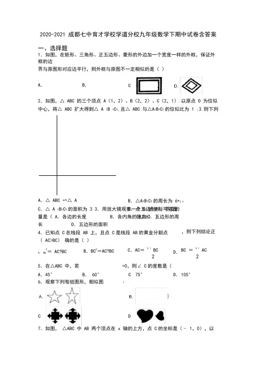 2020-2021成都七中育才学校学道分校九年级数学下期中试卷含答案