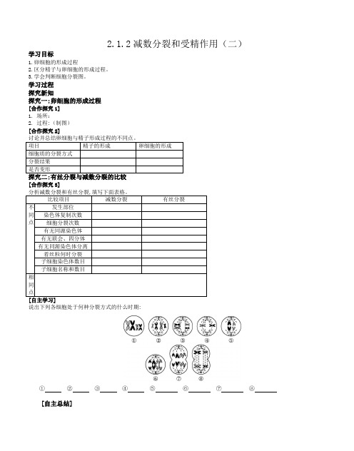 2.1.2 减数分裂和受精作用 学案 2020-2021学年高一生物人教版(2019)必修二