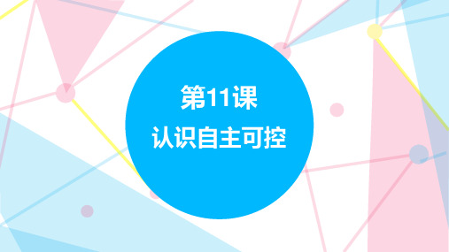 3.11 认识自主可控