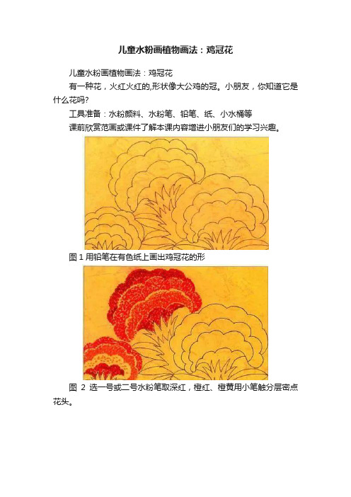 儿童水粉画植物画法：鸡冠花