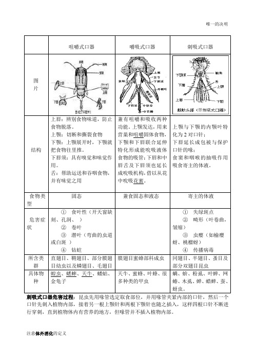 昆虫的口器比较