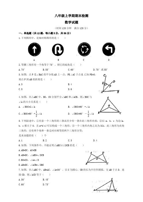 2019年山东省八年级上册期末考试数学试题有答案【推荐新版】