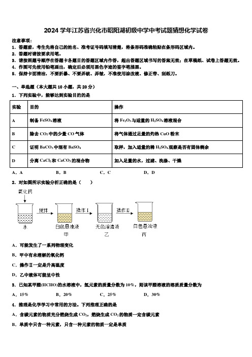 2024届江苏省兴化市昭阳湖初级中学中考试题猜想化学试卷含解析