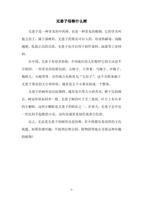 无患子俗称什么树