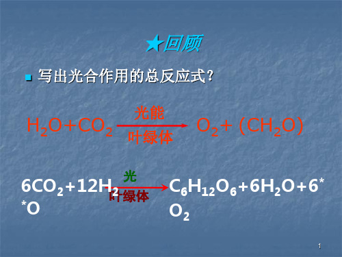 光反应和暗反应ppt课件