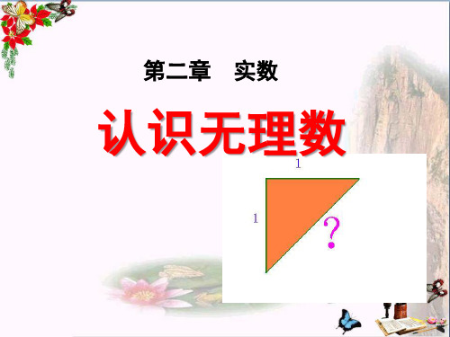 《认识无理数》实数PPT教学课件3