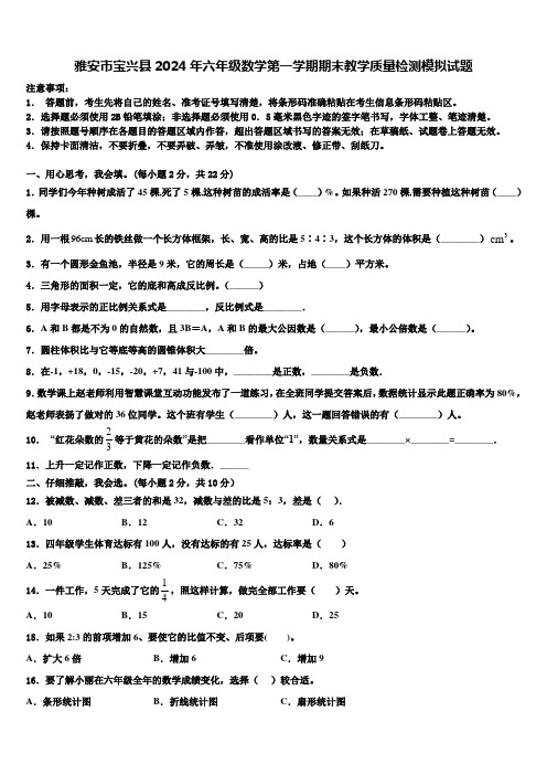 雅安市宝兴县2024年六年级数学第一学期期末教学质量检测模拟试题含解析