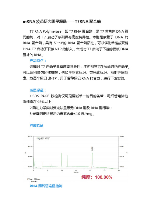 mRNA疫苗研究明星爆品——T7RNA聚合酶