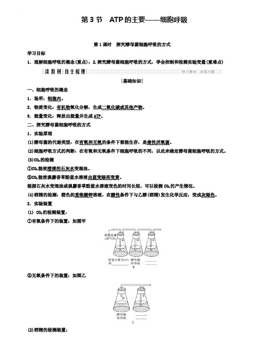 2019版高中生物人教版必修一学案：5.3.1 探究酵母菌细胞呼吸的方式 Word版含答案-