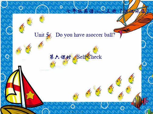 七年级英语上册unit5doyouhaveasoccerball(第6课时)self1