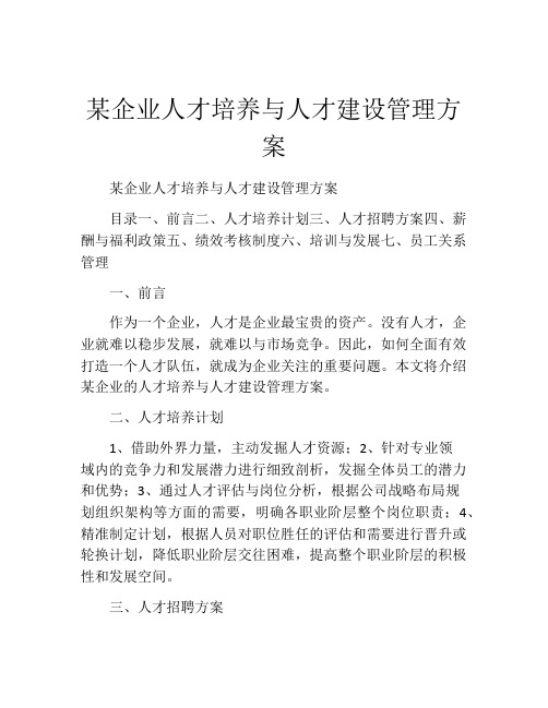 某企业人才培养与人才建设管理方案