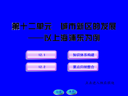 12 城市新区的发展——以上海浦东为例(老人教选修第二册)