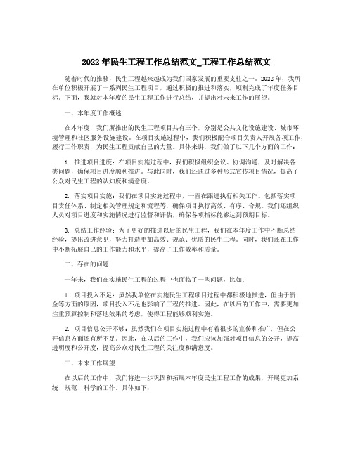 2022年民生工程工作总结范文_工程工作总结范文