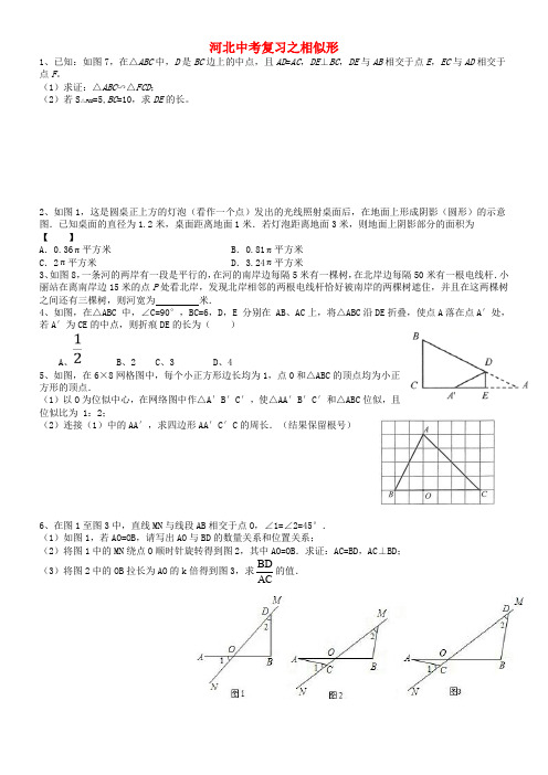 河北省2018年中考数学总复习 相似形专题(无答案)