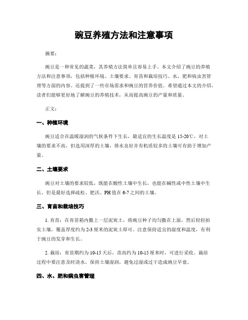 豌豆养殖方法和注意事项