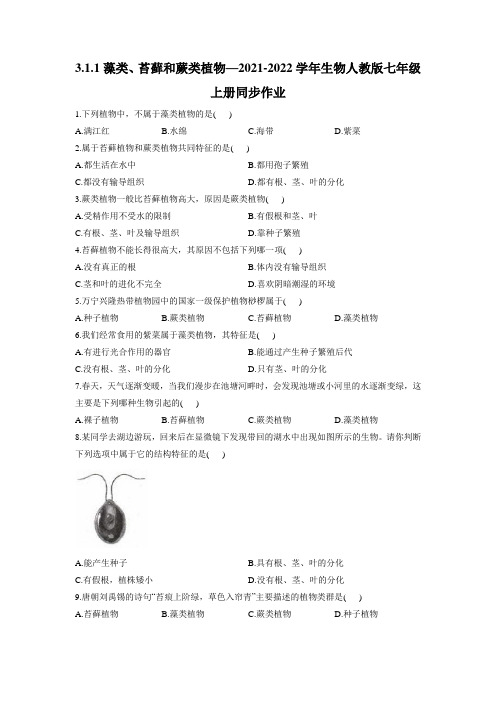 3.1.1藻类、苔藓和蕨类植物 同步作业  2021-2022学年生物人教版七年级上册