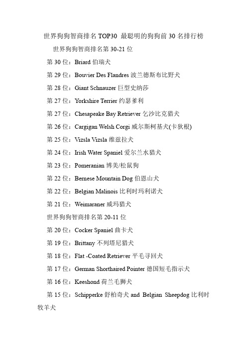 世界狗狗智商排名TOP30 最聪明的狗狗前30名排行榜