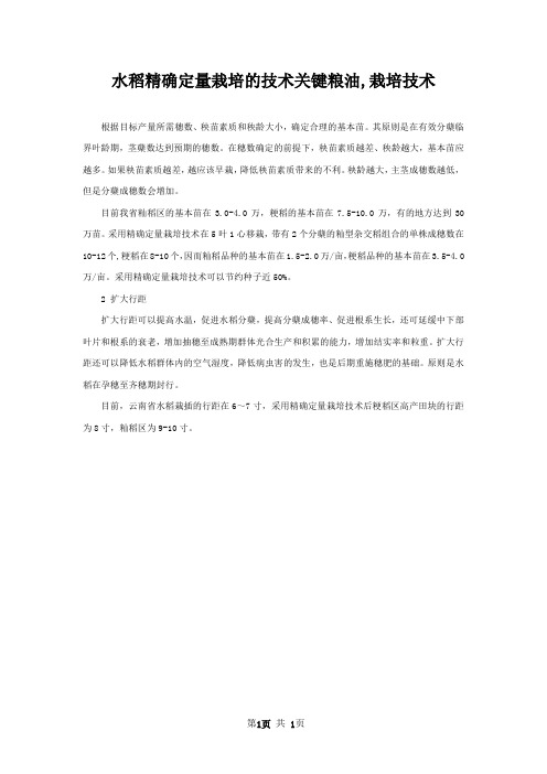 水稻精确定量栽培的技术关键粮油,栽培技术