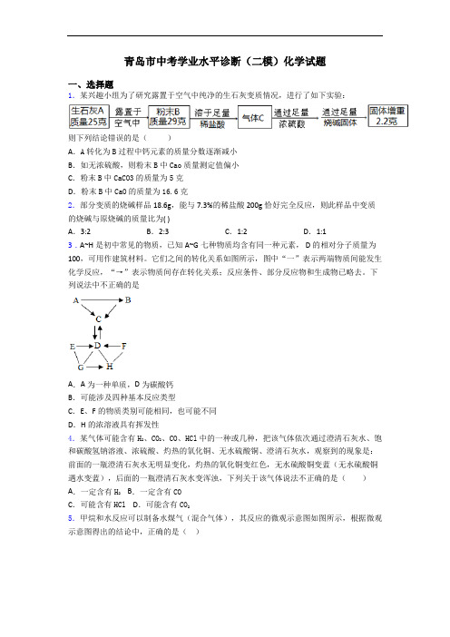 青岛市中考学业水平诊断(二模)化学试题