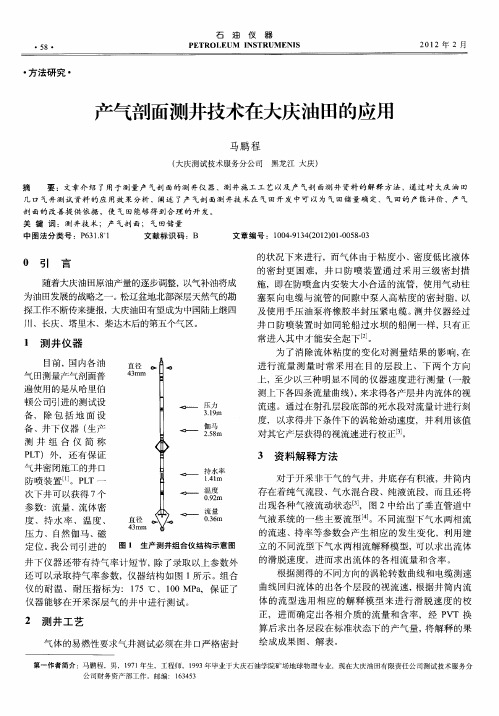 产气剖面测井技术在大庆油田的应用