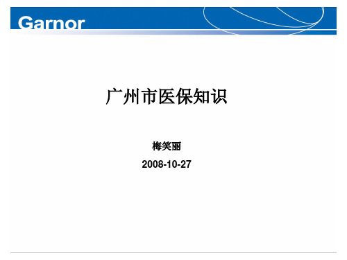 《医保知识培训》ppt课件