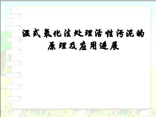 湿式氧化法处理活性污泥的原理及应用进展